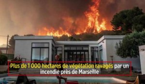 Plus de 1 000 hectares de végétation ravagés par un incendie près de Marseille