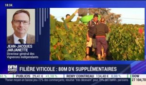 Filière viticole : 80 millions d'euros supplémentaires - 05/08