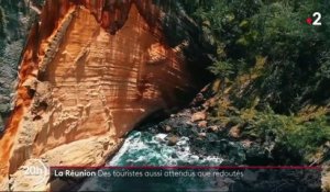 La Réunion : des touristes aussi attendus que redoutés