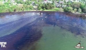 Île Maurice: de nouvelles images filmées par drone montrent l'étendue de la marée noire sur les côtes