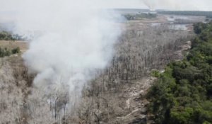 Un incendie fait rage dans la forêt amazonienne près de la ville de Sinop au Brésil
