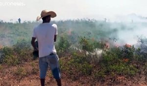 Au Brésil, l'Amazonie continue de brûler