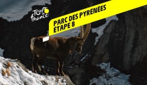 Tour de France 2020 : Étape 8 - Parc national des Pyrénées