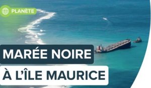 Marée noire : le bateau échoué au large de l'île Maurice s'est brisé en deux | Futura