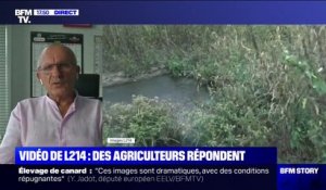Le président du Comité interprofessionnel des palmipèdes à foie gras condamne les pratiques de l'élevage visé par L214