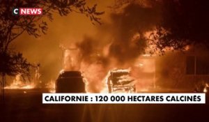 Californie : 120 000 hectares calcinés
