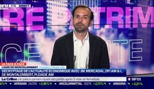 Jean-Marie Mercadal VS Louis de Montalembert : Sur quel modèle se référer pour essayer d'anticiper une sortie de crise ? - 24/08