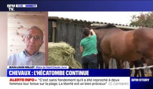 Actes de cruauté sur des chevaux : "C'est d'une cruauté inouïe (..) on a du mal à comprendre les motivations" selon de maire de Saint-Claude (Jura)