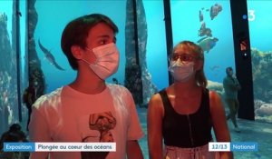 Monaco : immersion au plus près de la barrière de corail