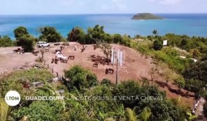 Guadeloupe : La côte sous le vent à cheval