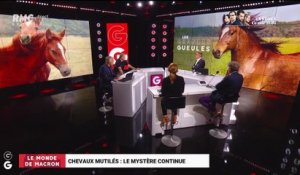 Le monde de Macron: Le mystère des chevaux mutilés continue - 04/09