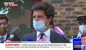 Chevaux mutilés: pour Julien Denormandie, "c'est une situation inacceptable qui est prise très au sérieux par le gouvernement"