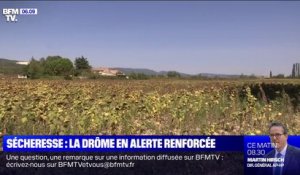 De fortes restrictions d'eau dans la Drôme en raison de la sécheresse