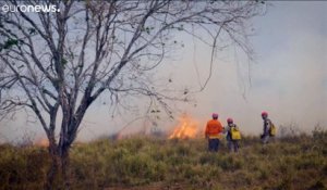 Brésil : des feux de forêts, encore et toujours