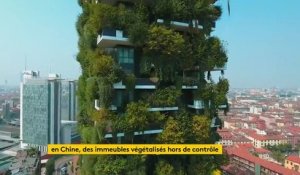 En Chine, des immeubles végétalisés hors de contrôle