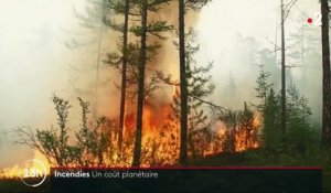 Environnement : des incendies aux quatre coins de la planète