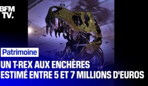 Estimé entre 5 et 7 millions d'euros, ce squelette de T-Rex mis aux enchères à New York pourrait battre le record en la matière