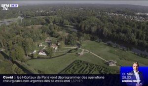 Les forêts françaises souffrent de la sécheresse