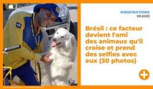 Brésil : ce facteur devient l'ami des animaux qu'il croise et prend des selfies avec eux (30 photos)