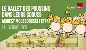 Moussorgski : Le ballet des poussins dans leurs coques - La Faunothèque