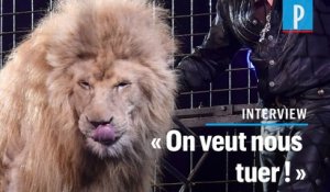 Fin des animaux sauvages dans les cirques ambulants  : « C'est le coup de grâce »