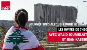 Liban : "Emmanuel Macron nous a tendu une perche qu'on a ratée" selon Walid Joumblatt