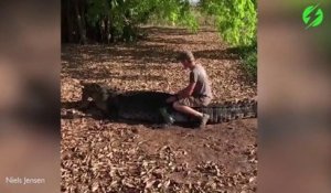 Il joue avec un crocodile sauvage gigantesque... Même pas peur