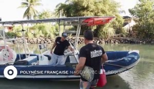 Polynésie Française : Nager avec les requins