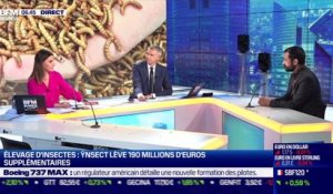 Antoine Hubert (Ynsect): Ynsect lève 190M€ supplémentaires dans l'élevage d'insectes - 07/10