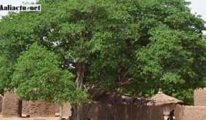 Mali : l’actualité du jour en Bambara Lundi 05 Octobre 2020