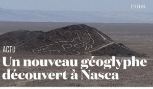 Un gigantesque géoglyphe en forme de chat découvert dans le désert de Nasca au Pérou