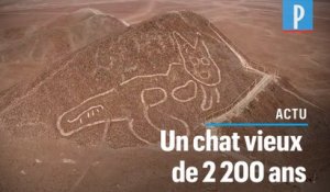 Pérou : un chat géant découvert sur les lignes de Nazca