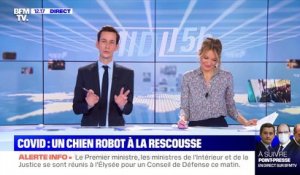 Covid: un chien robot à la rescousse - 23/10