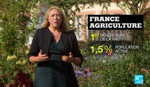 France- Allemagne, partie 2 : décidées à verdir leur agriculture post-Covid ?
