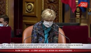 Filière betterave : le Sénat autorise le retour des néonicotinoïdes - Les matins du Sénat (28/10/2020)