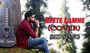 Beete Lamhe (Cover) | Talha Nadeem | New Song | Sad Song | Gaane Shaane