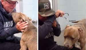 Après avoir perdu son chien, cet homme le retrouve dans un refuge pour animaux situé à 2000 km de chez lui