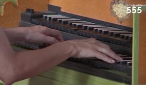 Scarlatti : Sonate pour clavecin en Fa Majeur K 317 L 66 (Allegro), par Carole Cerasi - #Scarlatti555