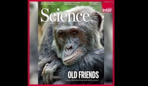 Une histoire de vieux singes et de vieux sages - L'édito Carré
