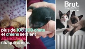 Grâce à Ron’Rhône, Léa a pu recueillir deux chats abandonnés