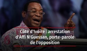 Côte d'Ivoire : arrestation d'Affi N'Guessan, porte-parole de l'opposition