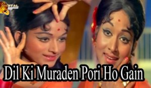 Dil Ki Muraden Pori Ho Gain | Love Song | HD Video