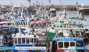 Port-en-Bessin : une baie merveilleuse pour la Saint-Jacques