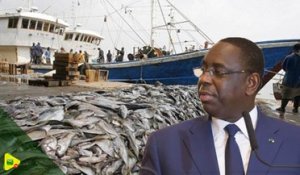 Accord de pêche 2019-2024 : Les cadres du Pastef accusent Macky Sall d’anéantir les pêcheurs locaux