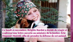 Affaire Elisa Pilarski : Brigitte Bardot adresse une lettre ouverte à Eric Dupond-Moretti
