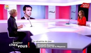 Elisabeth Doineau et Benoît Hamon  (17/11/2020)