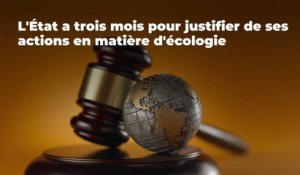 L'État a trois mois pour justifier de ses actions en matière d'écologie