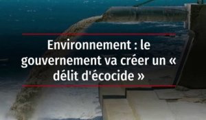 Environnement : le gouvernement va créer un « délit d'écocide »
