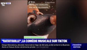 Sur TikTok, les internautes créent une comédie musicale inspirée de "Ratatouille"