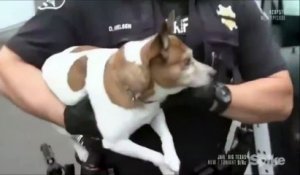 Ce policier laisse un détenu faire ses adieux à son chien avant de partir en prison